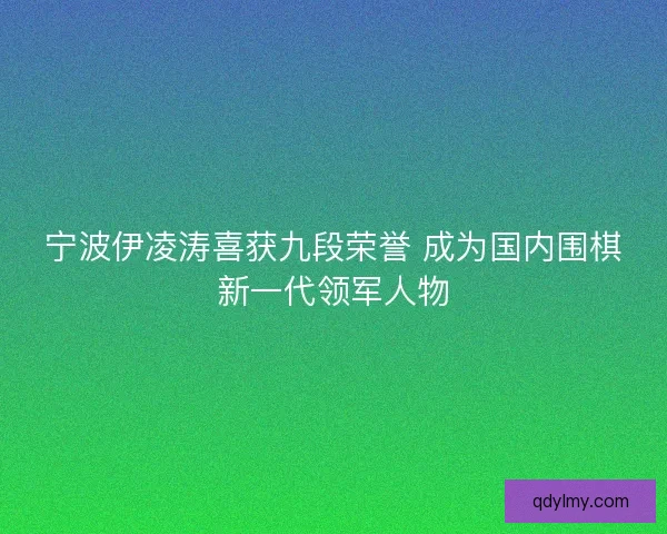 宁波伊凌涛喜获九段荣誉 成为国内围棋新一代领军人物